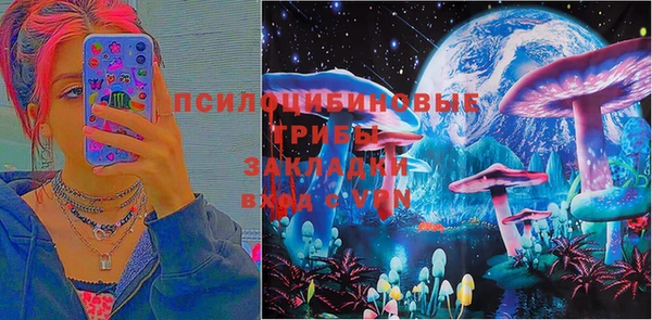 дмт Горнозаводск