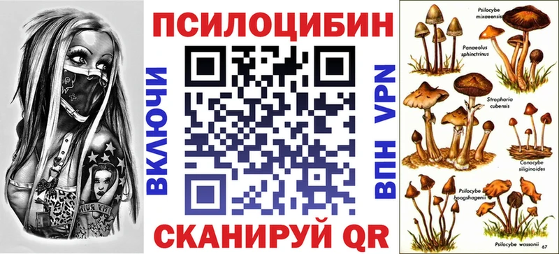 Псилоцибиновые грибы Psilocybe  Муром 