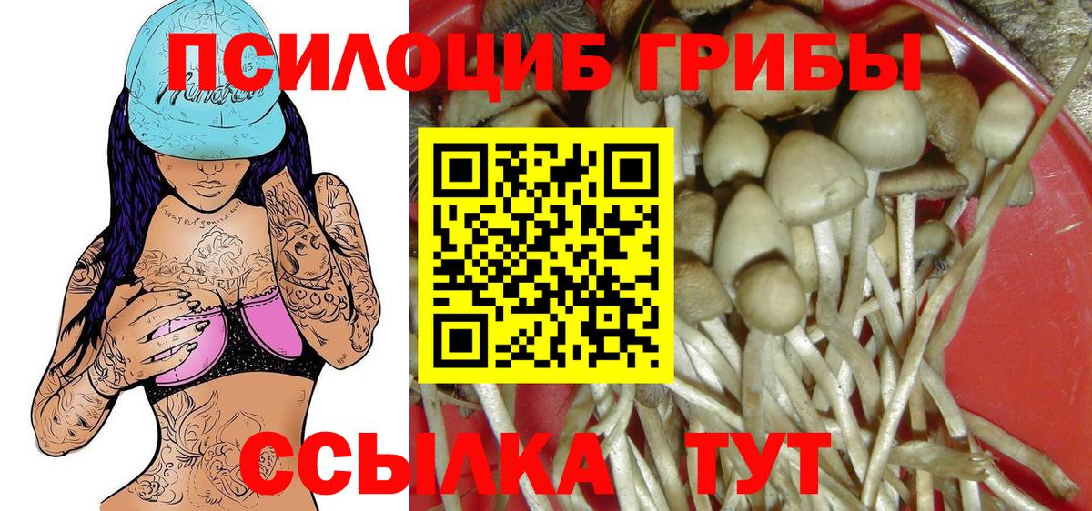Муром  Псилоцибиновые грибы ЛСД  Вход с VPN 